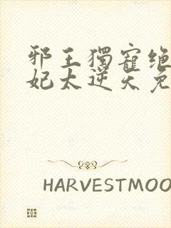 邪王独宠绝世狂妃太逆天免费阅读