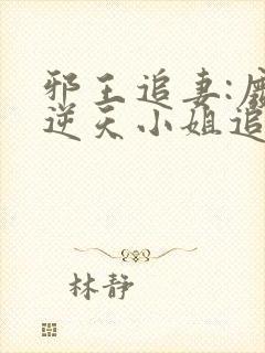 邪王追妻:废材逆天小姐追书