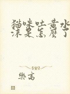 猫咪吐黄水带泡沫是怎么了