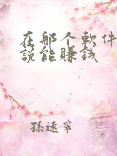 在那个软件写小说能赚钱