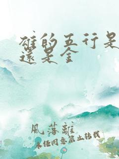 雄的五行是属水还是金