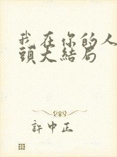 我在你的人生尽头大结局