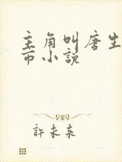主角叫唐生的都市小说