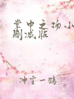 掌中之物小说无删减版