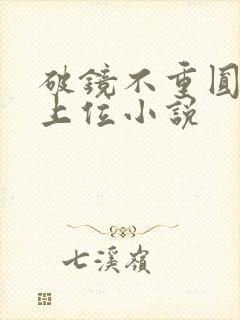 破镜不重圆男二上位小说