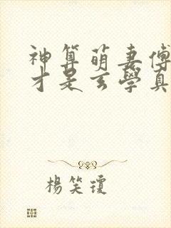 神算萌妻傅太太才是玄学真大佬原著