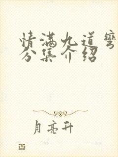 情满九道弯剧情分集介绍