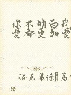 你不明白我说不爱都更加爱是什么歌