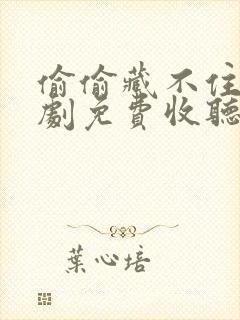 偷偷藏不住广播剧免费收听