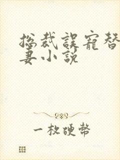 总裁误宠替身甜妻小说