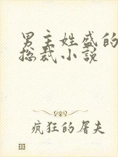 男主姓盛的霸道总裁小说