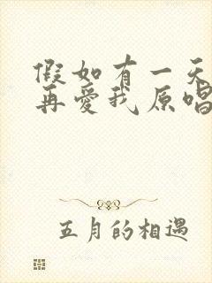 假如有一天你不再爱我原唱完整版