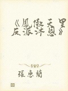 《凤傲天里黄毛反派沐恩》在哪里看