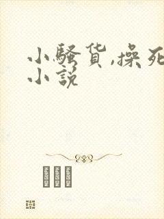 小骚货,操死你小说