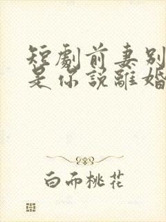 短剧前妻别哭了是你说离婚的短剧免费观看