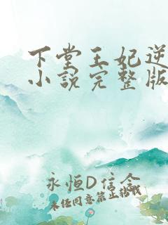 下堂王妃逆袭记小说完整版txt