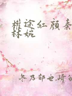 权途红颜秦天明林婉