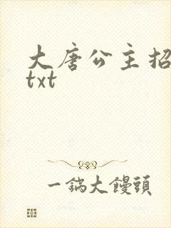 大唐公主招亲记txt