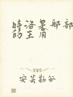 时洛是哪部小说的主角