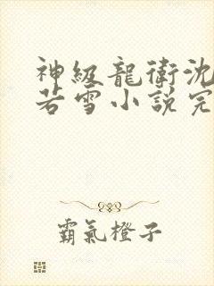 神级龙卫沈浪苏若雪小说完结