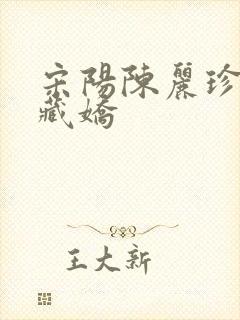 宋阳陈丽珍金屋藏娇