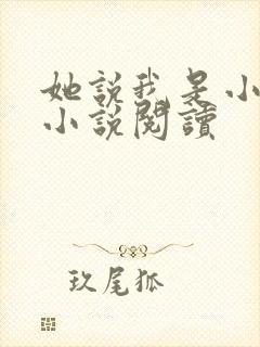 她说我是小妖精小说阅读