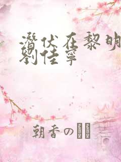 潜伏在黎明之前刘佳宁