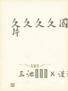 久久久久国产毛片