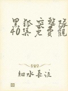 黑狐突击队1至40集免费观看