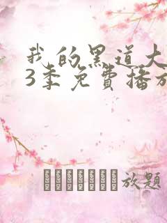 我的黑道大佬第3季免费播放在线观看