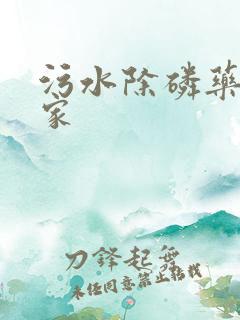 污水除磷药剂厂家