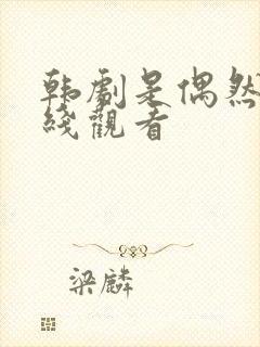 韩剧是偶然吧在线观看