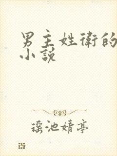 男主姓卫的古言小说