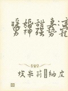 暖婚甜妻:高冷男神强势宠