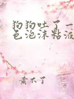 狗狗吐了一滩黄色泡沫粘液