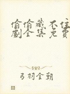 偷偷藏不住电视剧全集免费收看