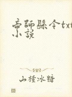 帝师县令txt小说