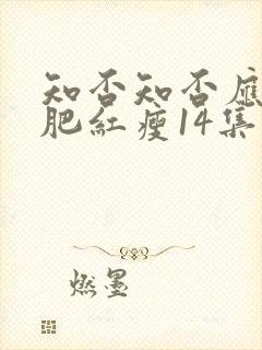 知否知否应是绿肥红瘦14集