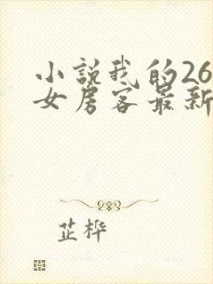 小说我的26岁女房客最新