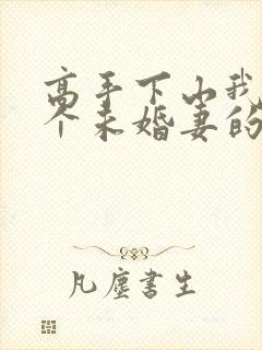 高手下山我有九个未婚妻的小说