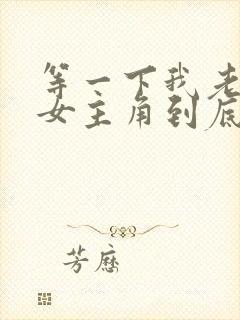 等一下我老公呢女主角到底是谁