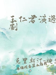 王仁君演过哪些剧