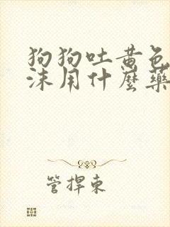 狗狗吐黄色的泡沫用什么药