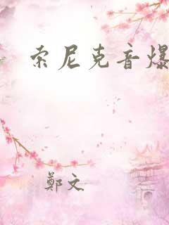 索尼克音爆图片