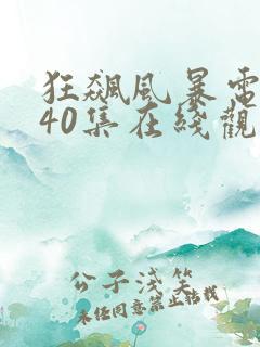 狂飙风暴电视剧40集在线观看免费