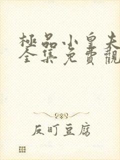 极品小皇夫短剧全集免费观看