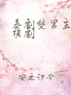 泰剧双男主的电视剧