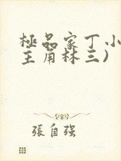 极品家丁小说(主角林三)