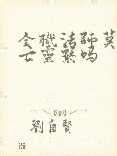 全职法师莫凡有亡灵系吗