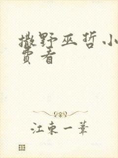 撒野巫哲小说免费看